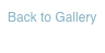 Back to Gallery