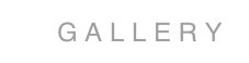      G A L L E R Y