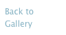 Back to Gallery
